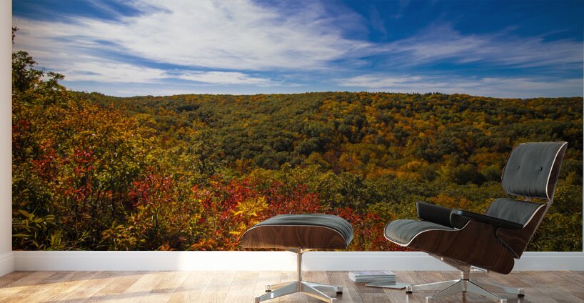 Pembina Valley Wall Murals