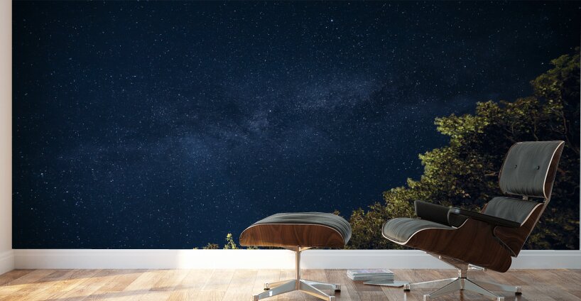 Starry Night Wall Murals