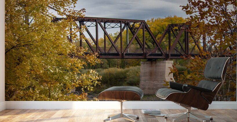Emerson Train Bridge Wall Murals