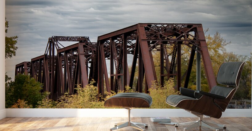 Emerson Train Bridge Wall Murals