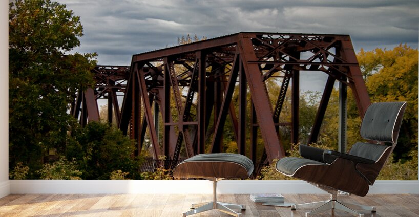 Emerson Train Bridge Wall Murals