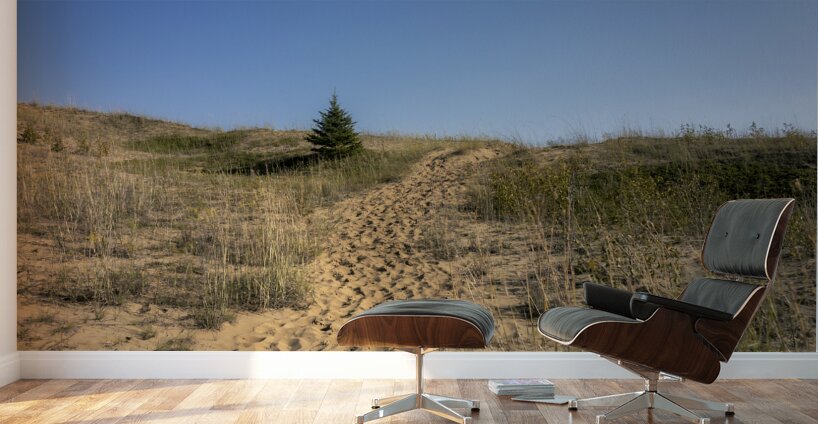 Spruce Woods Wall Murals