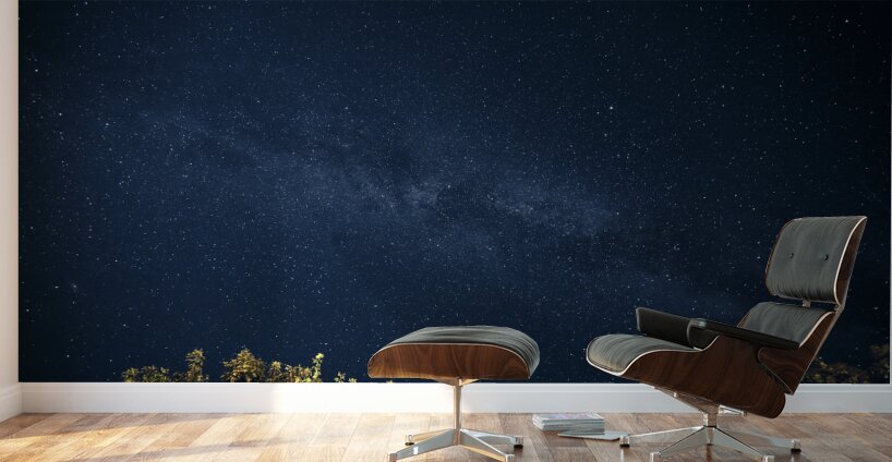 Starry Night Wall Murals