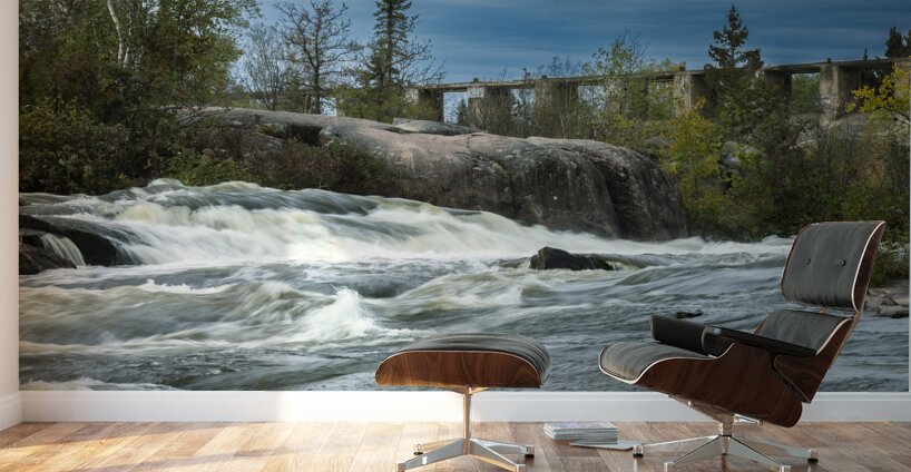 Falls by the Ruins Wall Murals