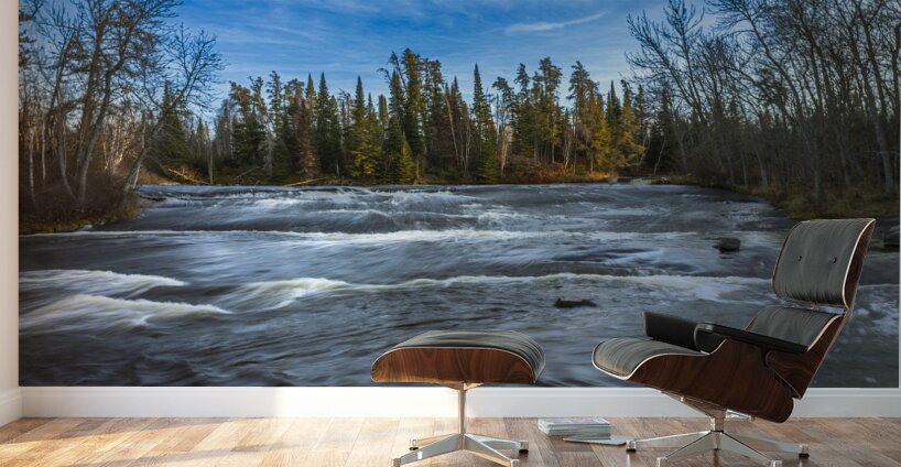 Into the Rapids Wall Murals
