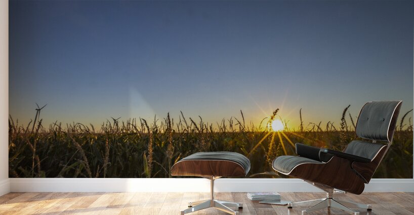 Sunset in the Cornfield Wall Murals