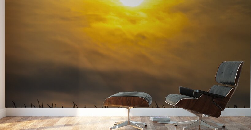 Hazy Sunrise Above Corn Field Wall Murals