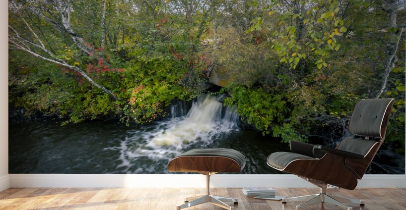 Small Falls Wall Murals