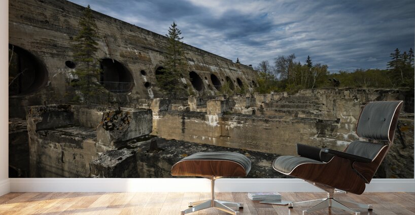 Amongst the Ruins Wall Murals