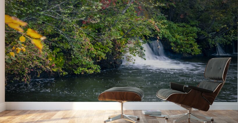 Small  Falls Wall Murals