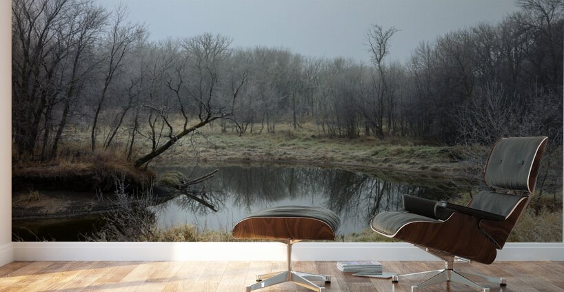 Fog by the River Wall Murals