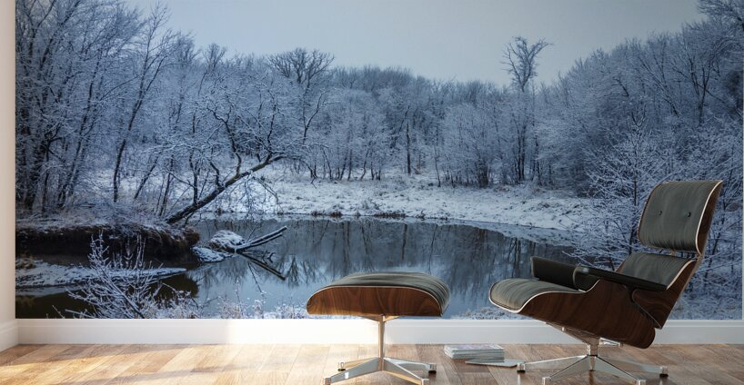 River in First Snowfall Wall Murals