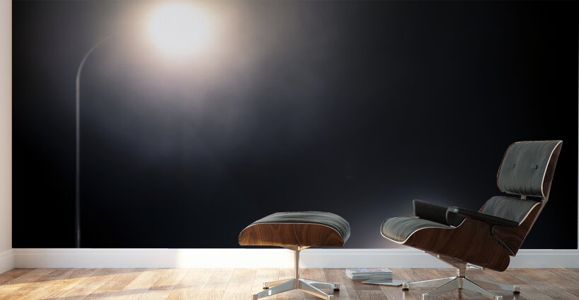 bridge in the Fog Wall Murals