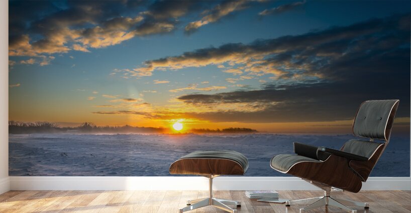 Winter Sunrise Wall Murals