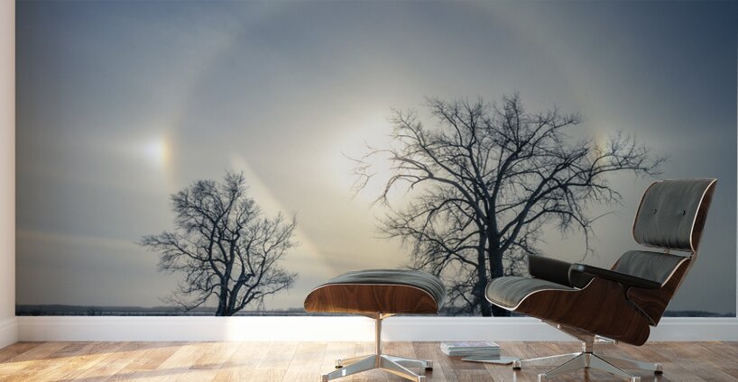 Sundogs Behind Lone Trees Wall Murals