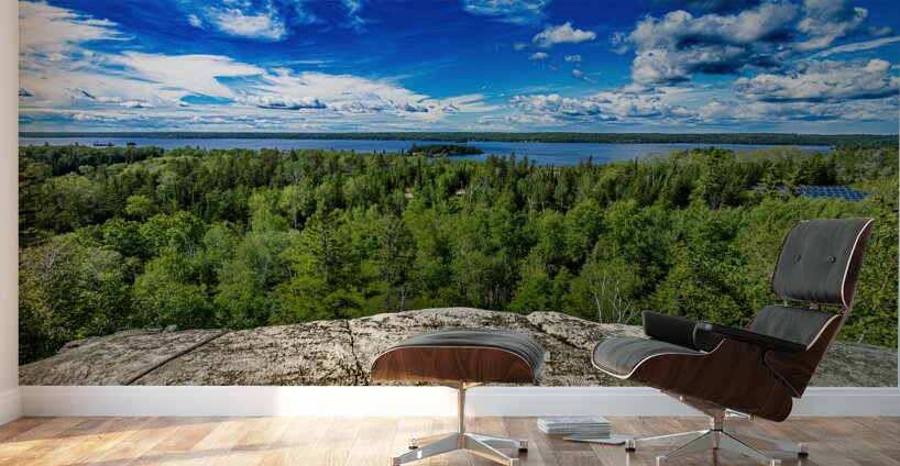 Top of the World Wall Murals