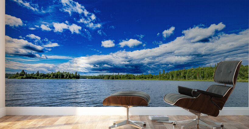 Falcon Lake Wall Murals