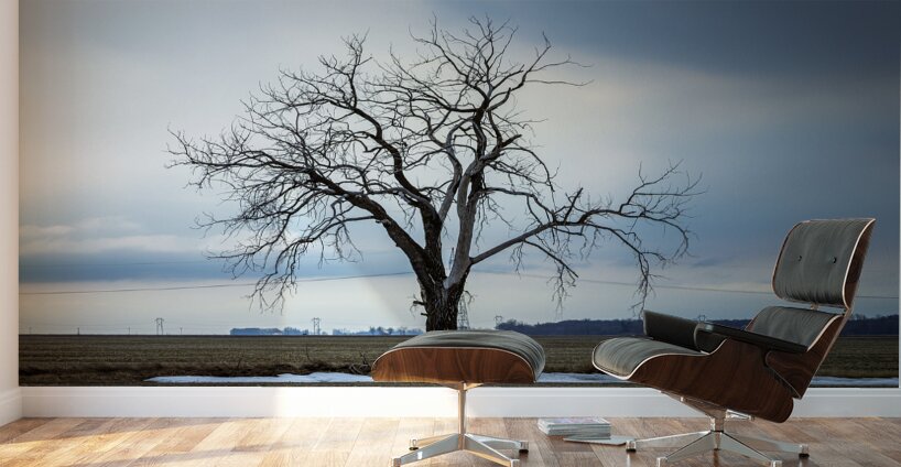 The Last Stand Wall Murals