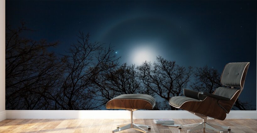 Moon Halo Above the Canopy Wall Murals
