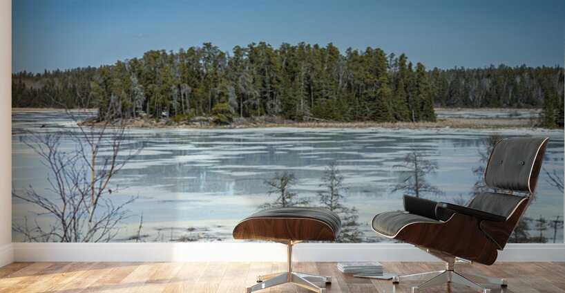 Isabel Lake Wall Murals