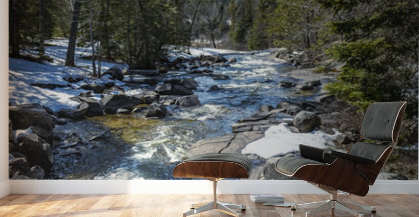 Cascading Waters Wall Murals