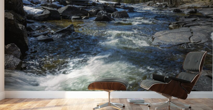 Cascading Waters Wall Murals