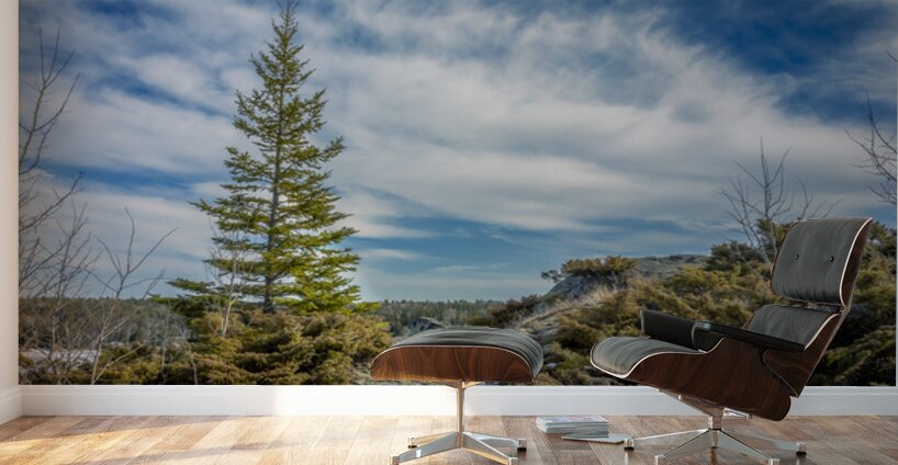 Dragon Fire Trail Wall Murals