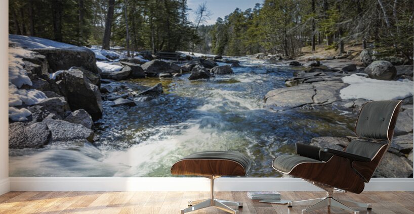 Cascading Waters Wall Murals