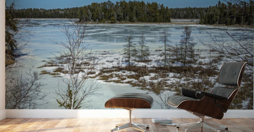 Isabel Lake Wall Murals