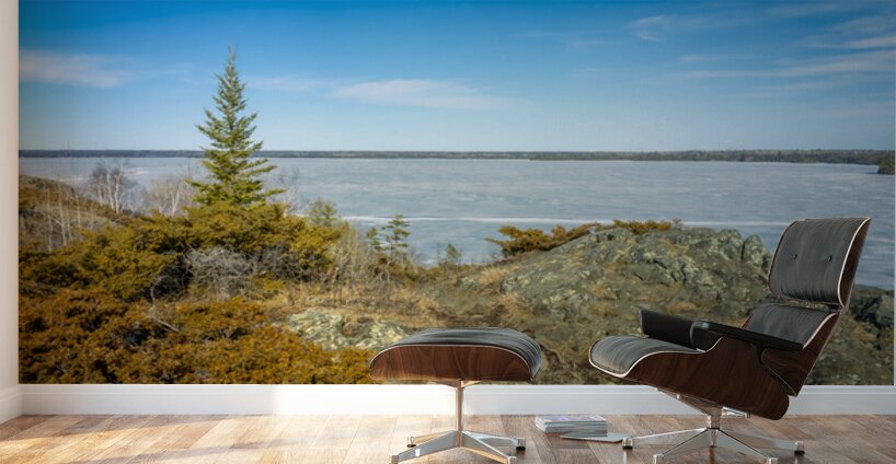 Dragon Fire Trail Wall Murals