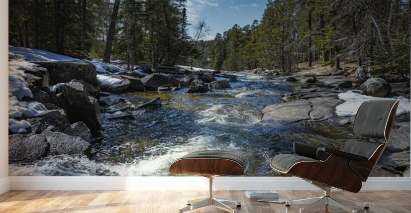 Cascading Waters Wall Murals