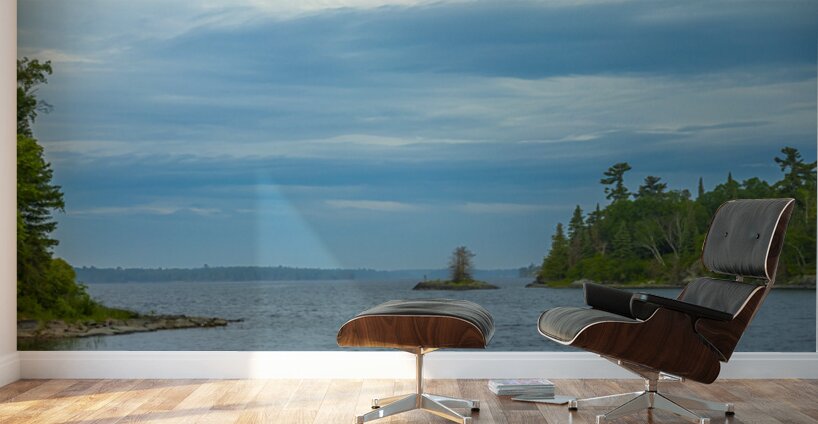 Whispers of Water Wall Murals