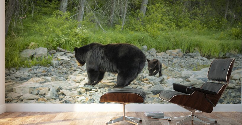 Mama Bear and its Cub Wall Murals