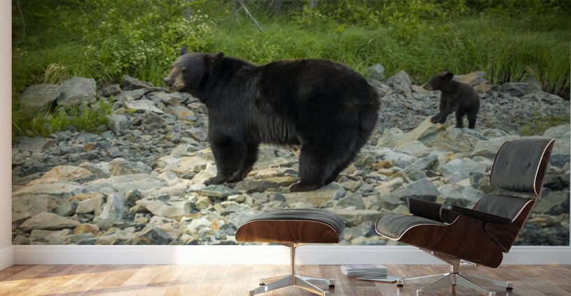 Mama Bear and its Cub Wall Murals