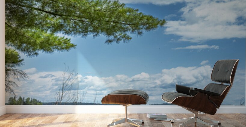 Lake of the Woods View Wall Murals