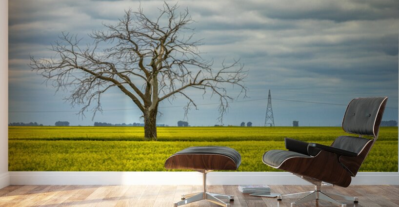 Solitude in Yellow Wall Murals