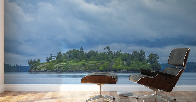 Island On Shoal Lake Wall Murals