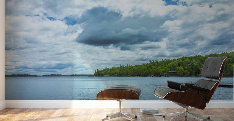 Lake of the Woods View Wall Murals