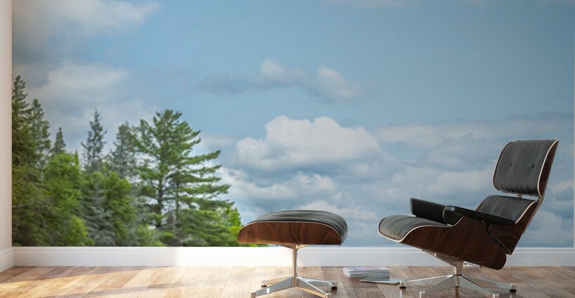 Lake of the Woods View Wall Murals