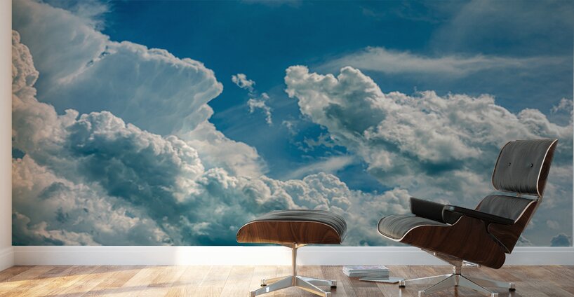 Cloudscape Wall Murals
