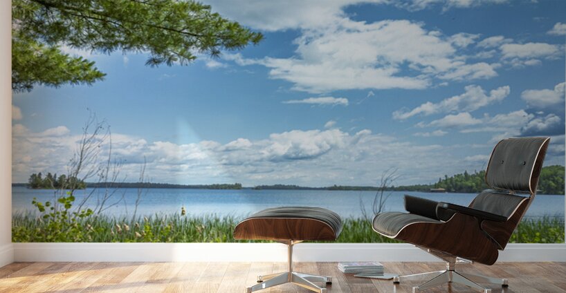 Lake of the Woods View Wall Murals