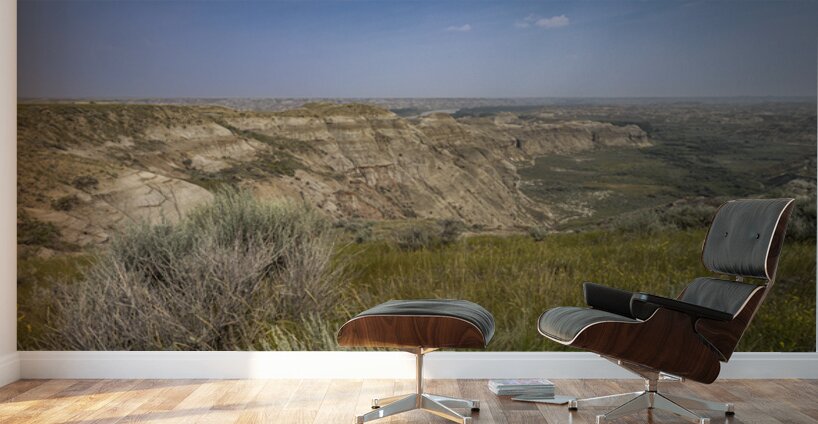 The Badlands Wall Murals