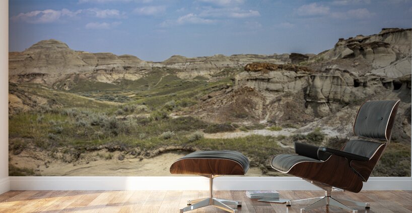 The Badlands Wall Murals