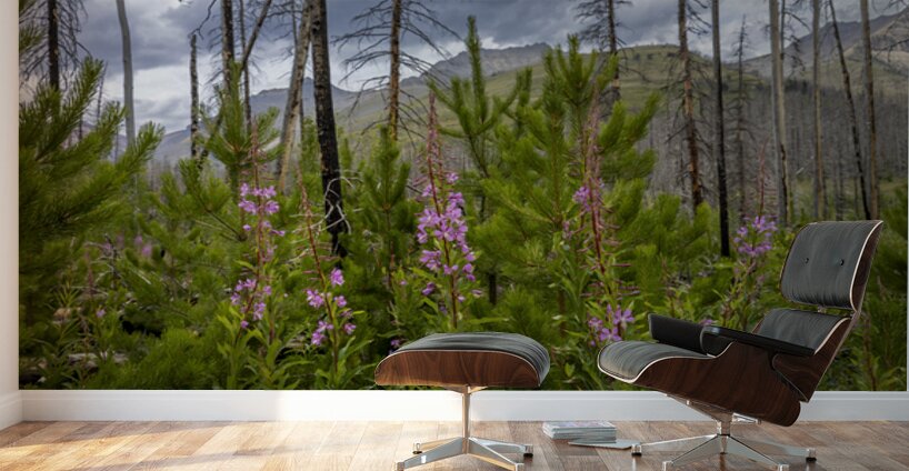 New Life Wall Murals