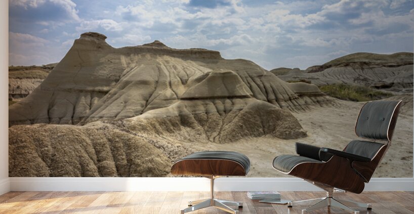 Badlands Wall Murals