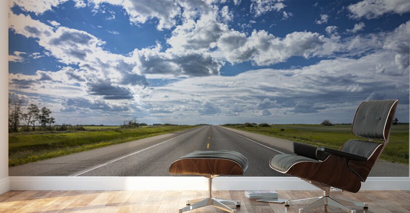 Freedom Road Wall Murals