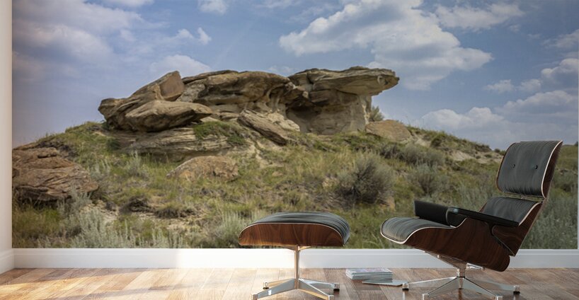 Whispers of the Badlands Wall Murals