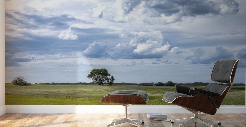 Lone Tree and Cloudy Sky Wall Murals