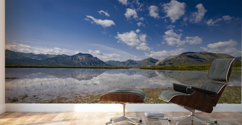 At the Base of the Rockies Wall Murals