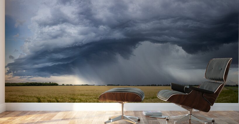 Atomic Rain Wall Murals